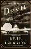 Book cover for "The devil in the white city"