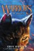 Book cover for "Fire and ice"