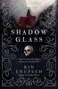 Book cover for "The shadowglass".