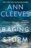Book cover for "The raging storm"
