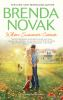 Book cover for "When summer comes".