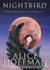 Book cover for "Nightbird"