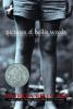 Book cover for "Pictures of Hollis Woods"