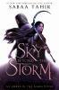 Book cover for "A sky beyond the storm".
