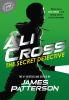 Book cover for "The secret detective".