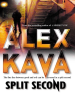 Book cover for "Split Second"