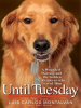 Book cover for "Until Tuesday"