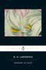 Book cover for "Women in love"