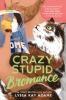 Book cover for "Crazy stupid bromance"