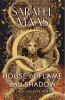 Book cover for "House of flame and shadow".