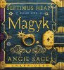 Book Cover for "Magyk"