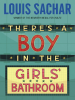 Book Cover for "There's a Boy in the Girls' Bathroom"