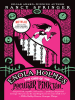 Book Cover for "The Case of the Peculiar Pink Fan"
