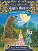 Book Cover for "Moonlight on the Magic Flute"
