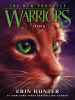 Book Cover for "Dawn"