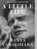 Book Cover for "A Little Life"