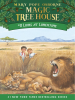 Book Cover for "Lions at Lunchtime"