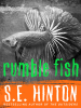 Book Cover for "Rumble Fish"