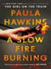 Book Cover for "A Slow Fire Burning"