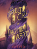Book Cover for "The Troubled Girls of Dragomir Academy"