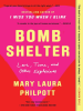 Book Cover for "Bomb Shelter"
