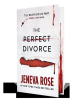 Book Cover for "The Perfect Divorce"