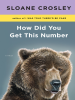 Book Cover for "How Did You Get This Number"