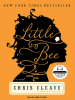 Book Cover for "Little Bee"