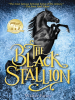 Book Cover for "The Black Stallion"