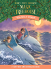 Book Cover for "Dolphins at Daybreak"