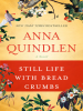 Book Cover for "Still Life with Bread Crumbs"