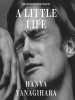 Book Cover for "A Little Life"