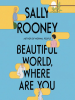 Book Cover for "Beautiful World, Where Are You"