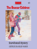 Book Cover for "Snowbound Mystery"