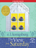 Book Cover for "The View From Saturday"