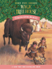 Book Cover for "Buffalo Before Breakfast"