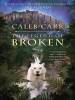 Book Cover for "The Legend of Broken"