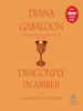 Book Cover for "Dragonfly in Amber"