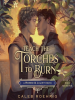 Book Cover for "Teach the Torches to Burn"