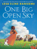 Book Cover for "One Big Open Sky"