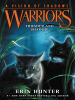 Book Cover for "Thunder and Shadow"