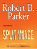 Book Cover for "Split Image"
