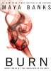 Book Cover for "Burn"
