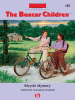 Book Cover for "Bicycle Mystery"