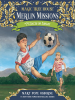 Book Cover for "Soccer on Sunday"