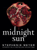 Book Cover for "Midnight Sun"