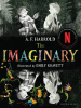 Book Cover for "The Imaginary"