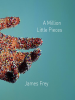 Book Cover for "A Million Little Pieces"