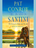 Book Cover for "The Death of Santini"