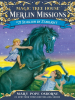 Book Cover for "Stallion by Starlight"